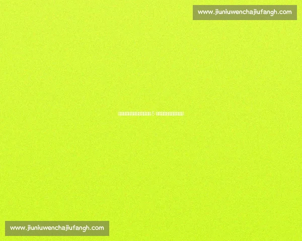 扬州企业家驾机飞越苏超赛场 5 架国产飞机编队空中助威