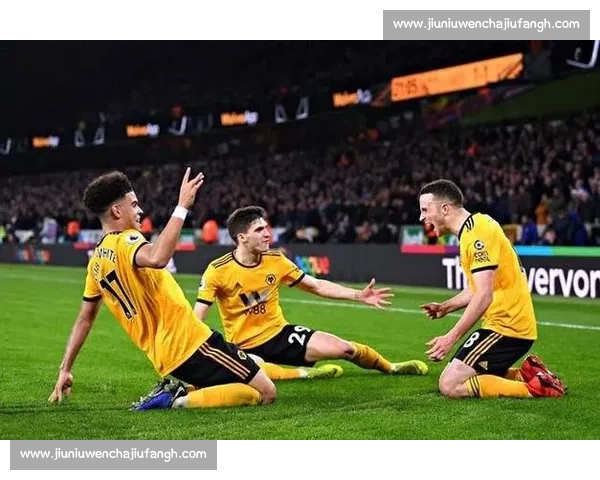 纽卡斯尔主场迎战狼队英超焦点对决攻防走向引热议赛季形势悬念升级